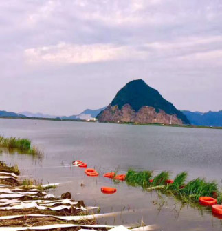 威客电竞·VKGAME(中国区)官方网站